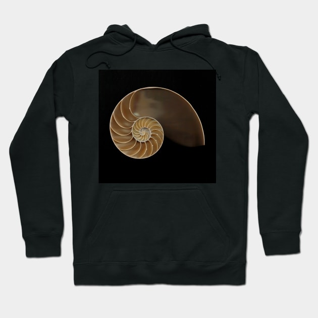 Chambered nautilus shell Hoodie by joesaladino